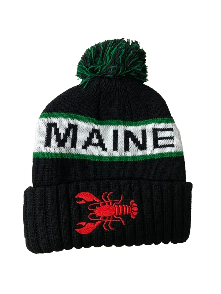 Beanies winter hats image 3