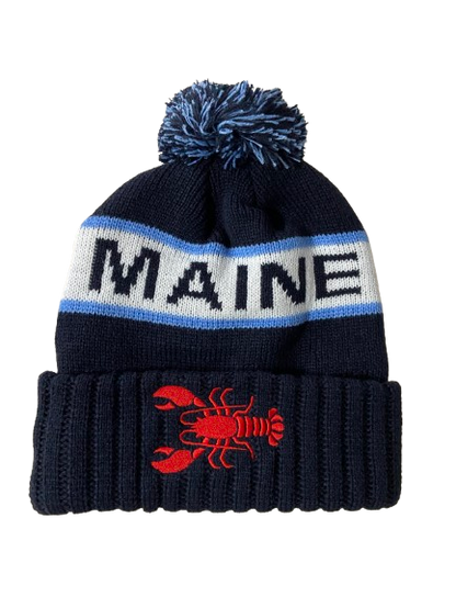 Beanies winter hats - Light Blue/Black image